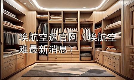 埃航空运官网（埃航空难最新消息）