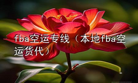 fba空运专线(本地fba空运货代)