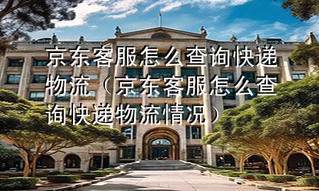 京东客服怎么查询快递物流(京东客服怎么查询快递物流情况)