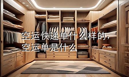 空运快递单什么样的，空运单是什么