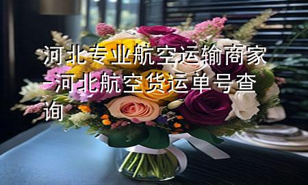河北专业航空运输商家-河北航空货运单号查询