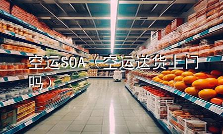 空运SOA(空运送货上门吗)