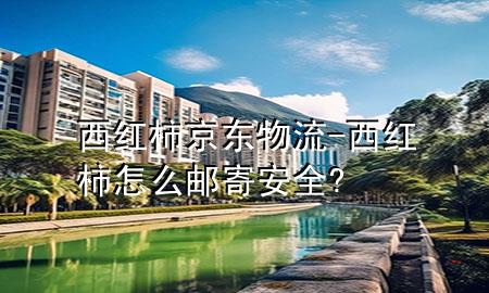 西红柿京东物流-西红柿怎么邮寄安全?