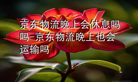 京东物流晚上会休息吗吗-京东物流晚上也会运输吗