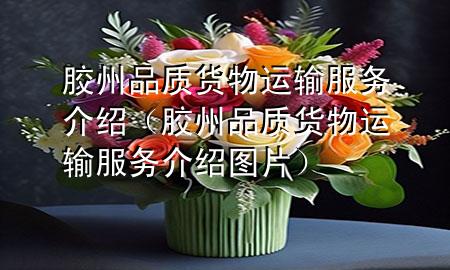 胶州品质货物运输服务介绍(胶州品质货物运输服务介绍图片)
