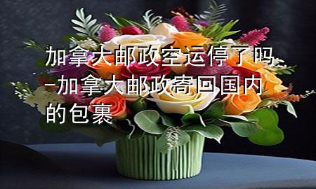 加拿大邮政空运停了吗-加拿大邮政寄回国内的包裹