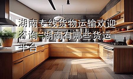 湖南专线货物运输欢迎咨询-湖南有哪些货运平台