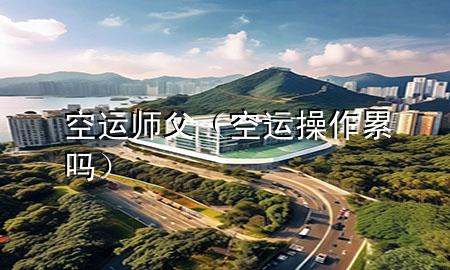 空运师父（空运操作累吗）
