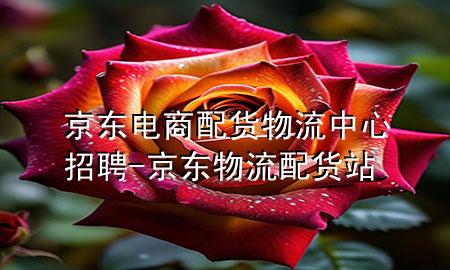 京东电商配货物流中心招聘-京东物流配货站