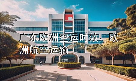 广东欧洲空运时效,欧洲航空运输