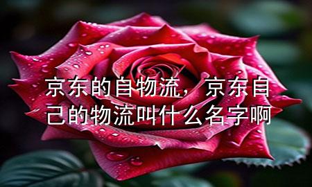 京东的自物流,京东自己的物流叫什么名字啊