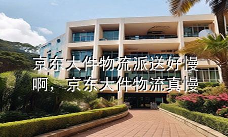 京东大件物流派送好慢啊,京东大件物流真慢