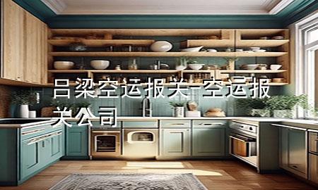 吕梁空运报关-空运报关公司