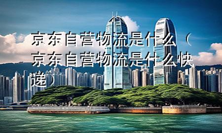 京东自营物流是什么(京东自营物流是什么快递)