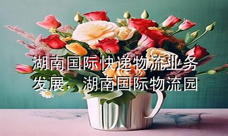 湖南国际快递物流业务发展,湖南国际物流园