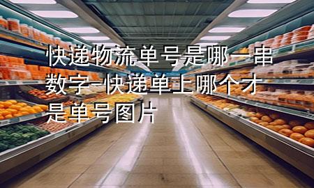 快递物流单号是哪一串数字-快递单上哪个才是单号图片