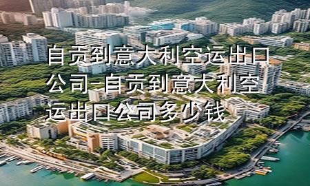 自贡到意大利空运出口公司-自贡到意大利空运出口公司多少钱