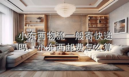 小东西物流一般寄快递吗,小东西邮费怎么算