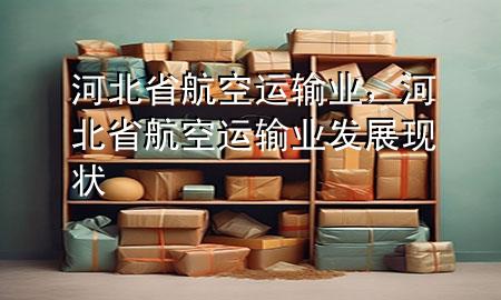 河北省航空运输业,河北省航空运输业发展现状