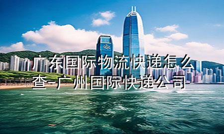 广东国际物流快递怎么查-广州国际快递公司