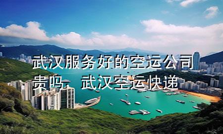 武汉服务好的空运公司贵吗,武汉空运快递