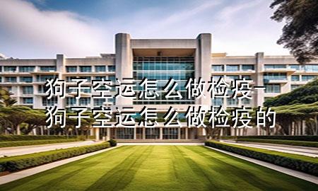 狗子空运怎么做检疫-狗子空运怎么做检疫的