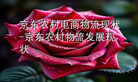 京东农村电商物流现状-京东农村物流发展现状