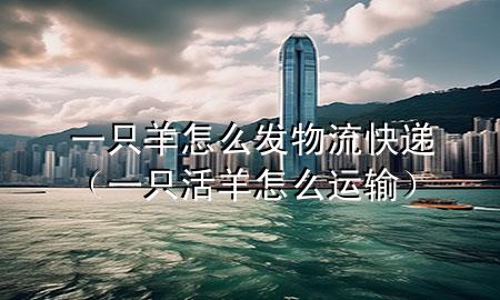 一只羊怎么发物流快递(一只活羊怎么运输)