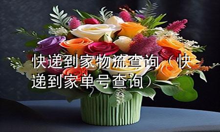 快递到家物流查询(快递到家单号查询)