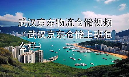 武汉京东物流仓储视频(武汉京东仓储上班怎么样)