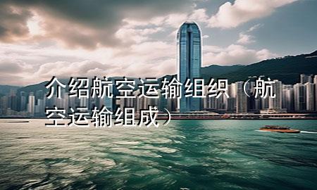介绍航空运输组织(航空运输组成)