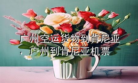 广州空运货物到肯尼亚，广州到肯尼亚机票