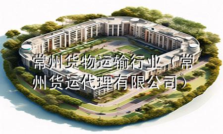 常州货物运输行业(常州货运代理有限公司)