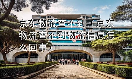 京东物流 查不到(京东物流查不到物流信息怎么回事)
