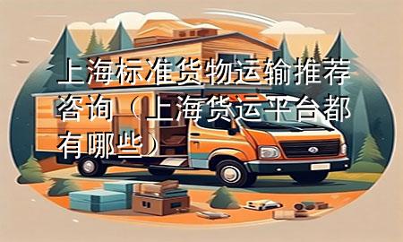 上海标准货物运输推荐咨询(上海货运平台都有哪些)