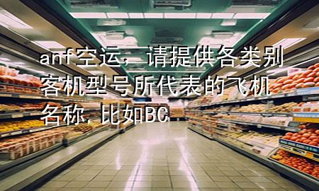 anf空运，请提供各类别客机型号所代表的飞机名称,比如BC