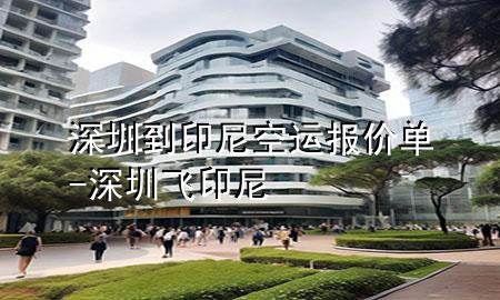 深圳到印尼空运报价单-深圳飞印尼