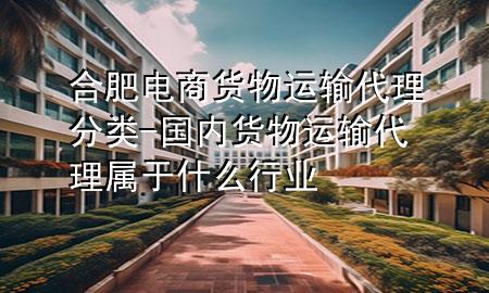 合肥电商货物运输代理分类-国内货物运输代理属于什么行业