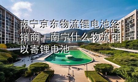 南宁京东物流锂电池经销商,南宁什么物流可以寄锂电池