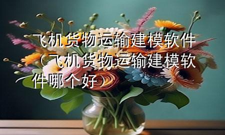 飞机货物运输建模软件(飞机货物运输建模软件哪个好)
