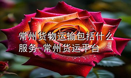 常州货物运输包括什么服务-常州货运平台