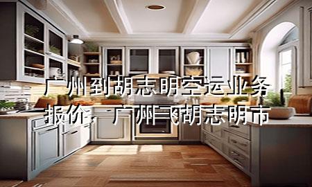 广州到胡志明空运业务报价，广州飞胡志明市