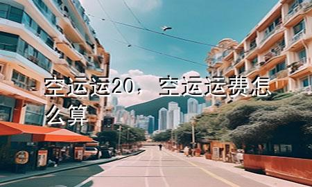 空运运20，空运运费怎么算