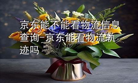 京东能不能看物流信息查询-京东能看物流轨迹吗