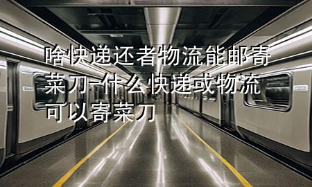 啥快递还者物流能邮寄菜刀-什么快递或物流可以寄菜刀