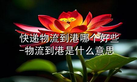快递物流到港哪个好些-物流到港是什么意思