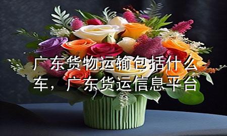 广东货物运输包括什么车,广东货运信息平台