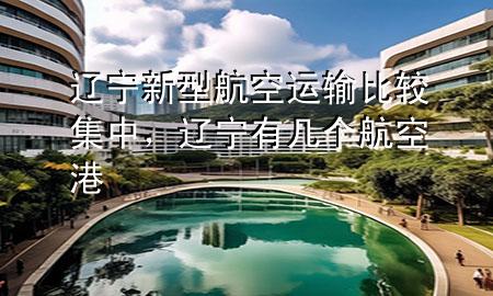 辽宁新型航空运输比较集中，辽宁有几个航空港