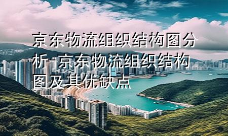 京东物流组织结构图分析-京东物流组织结构图及其优缺点