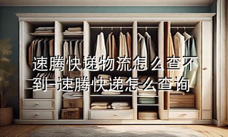 速腾快递物流怎么查不到-速腾快递怎么查询